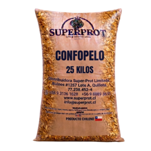 Conchuela